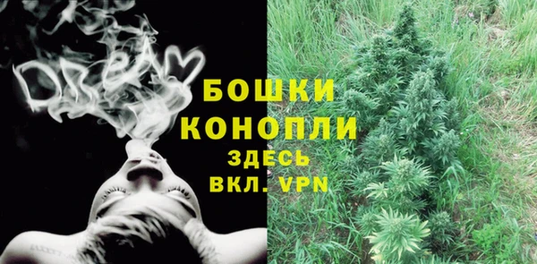 шишки Дмитровск