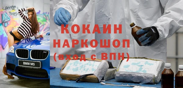 шишки Дмитровск